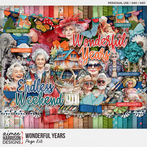 Wonderful Years Page Kit by Aimee Harrison