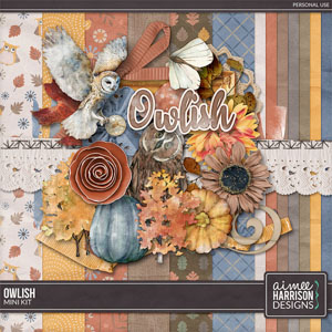 Owlish Mini Kit by Aimee Harrison