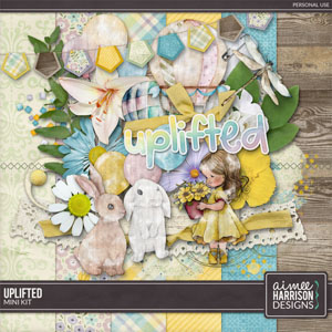 Uplifted Mini Kit by Aimee Harrison