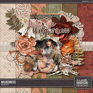 Wilderness Mini Kit by Aimee Harrison