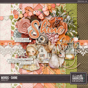 Words - Shine Mini Kit by Aimee Harrison