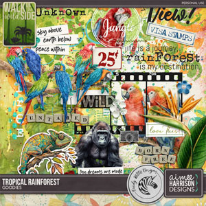 Tropical Rainforest Goodies by Aimee Harrison & Cindy Ritter