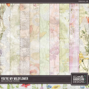You're My Wildflower Decoupage Papers by Aimee Harrison