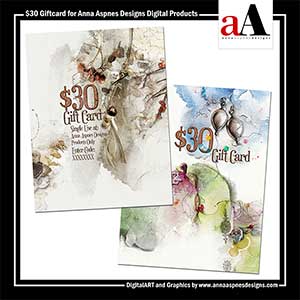 25 Giftcard + 5 Bonus | Anna Aspnes