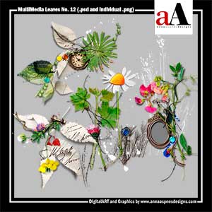 MultiMedia Leaves No 12