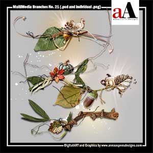 MultiMedia Branches No 21