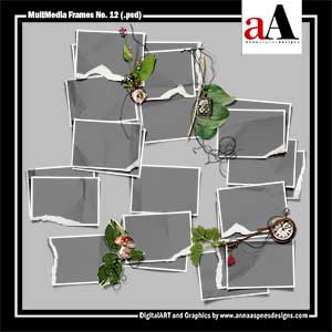MultiMedia Frames No 12