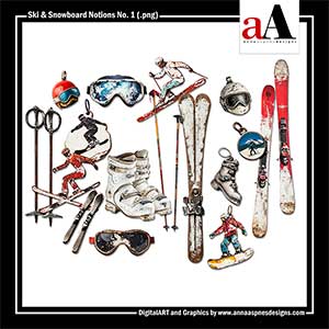 Ski and Snowboard Notions No 1