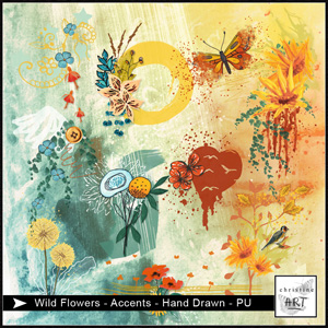 Wild Flowers Accents hand drawn by Christine Art