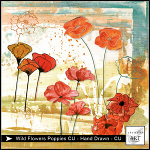 Wild Flowers Poppies CU hand drawn by Christine Art