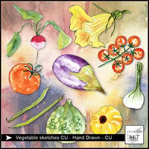 Vegetable sketches CU hand drawn by Christine Art