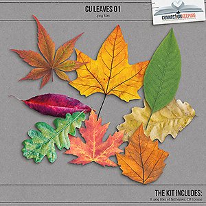 CU Leaves 01