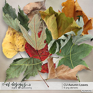 CU Autumn Leaves 