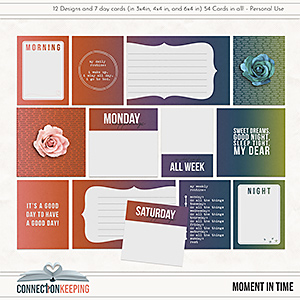 A Moment In Time Journal Cards