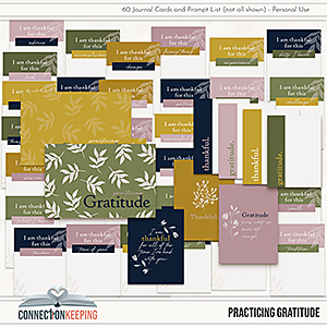 Practicing Gratitude Journal Cards