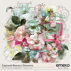 Captured Beauty Elements