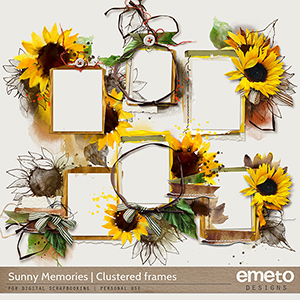 Sunny Memories Clustered Frames