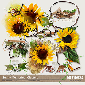 Sunny Memories Clusters