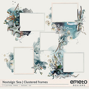 Nostalgic sea - clustered frames