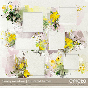 Sunny meadows - Clustered frames