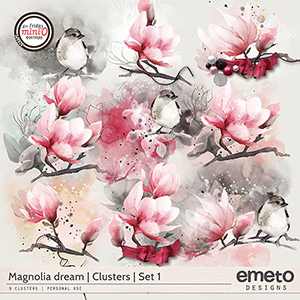 Magnolia dream - Clusters | Set 1