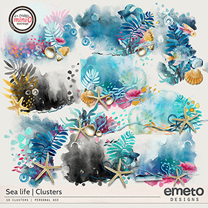 Sea life - clusters