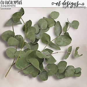 CU Eucalyptus