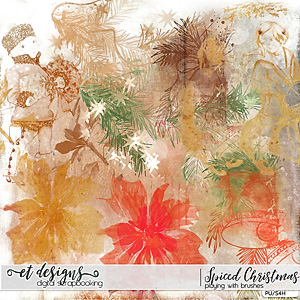 Spiced Christmas Playing with Brushes by et designs
