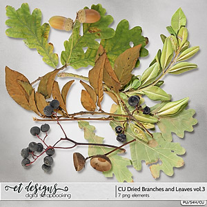 CU Dried Branches and Leaves vol.3
