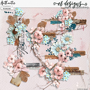 Authentic Clusters by et designs