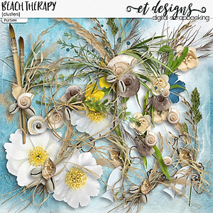 Beach Therapy Clusters