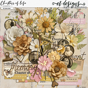 Chapters of Life Elements by et designs