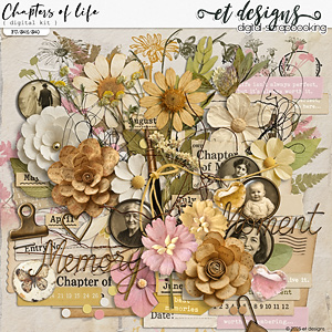 Chapters of Life Kit by et designs