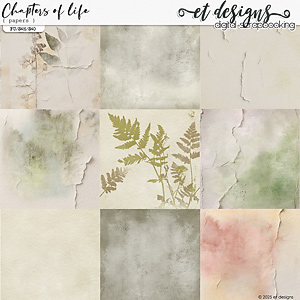 Chapters of Life Papers by et designs
