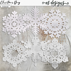 Christmas Day Snowflakes by et designs