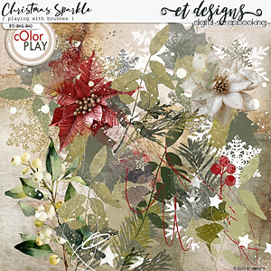 Christmas Sparkle Playing with Brushes by et designs
