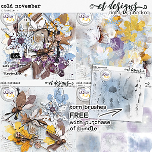 Cold November Bundle PLUS FREE Torn Brushes by et designs 