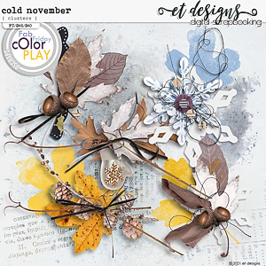 Cold November Cluster by et designs