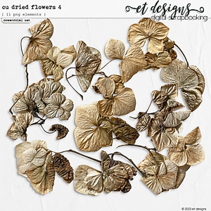 CU Dried Flowers 4 by et designs