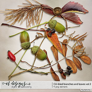 CU Dried Branches and Leaves vol.2