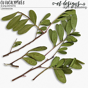 CU Eucalyptus 3