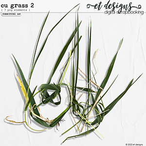 CU Grass 2 by et designs