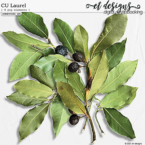 CU Laurel by et designs