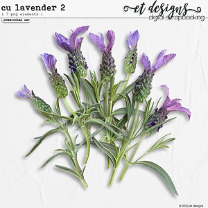 CU Lavender 2 by et designs