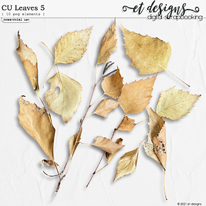 CU Leaves 5 by et designs
