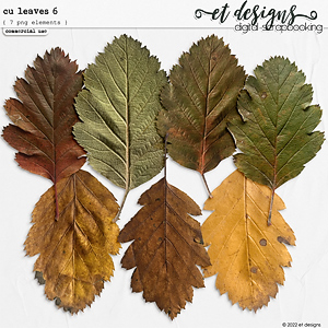 CU Leaves 6 by et designs