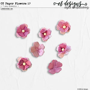 CU Paper Flowers vol.17