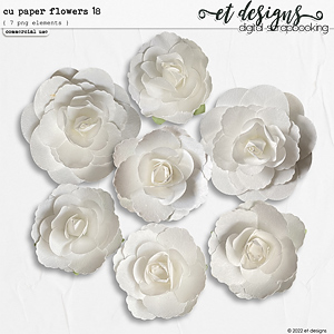 CU Paper Flowers 18 by et designs
