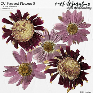 CU Pressed Flowers 5