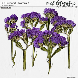 CU Pressed Flowers 4